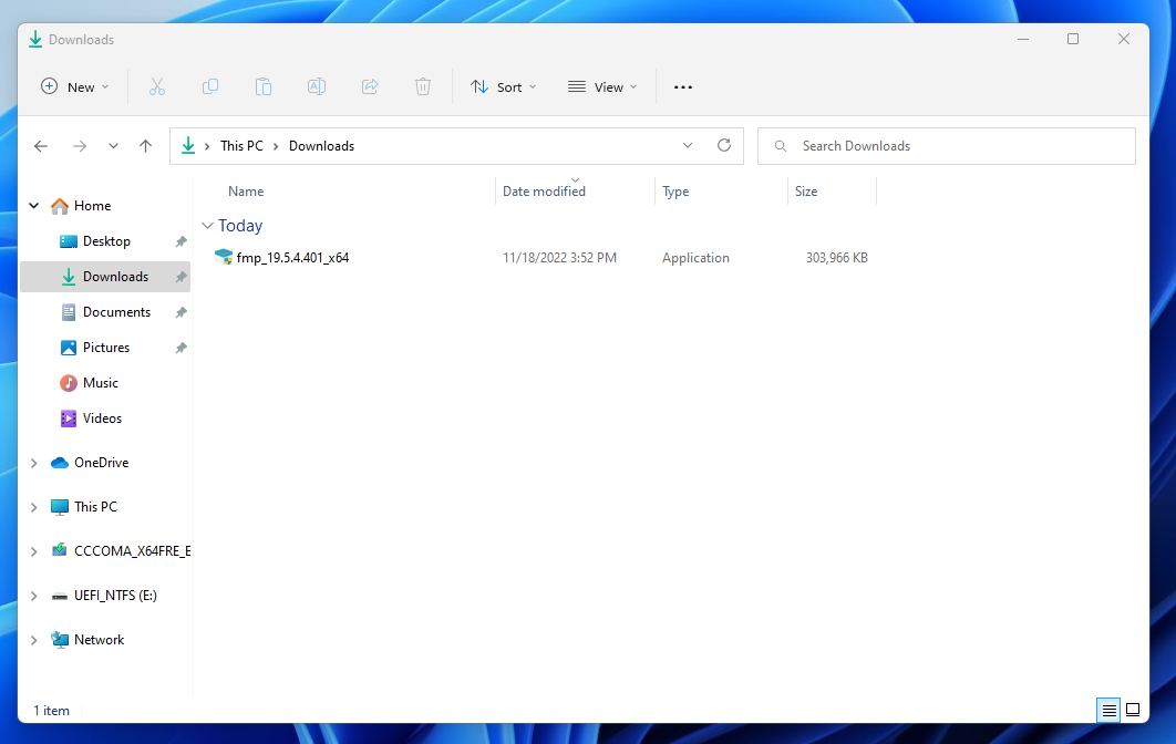 Downloaded File